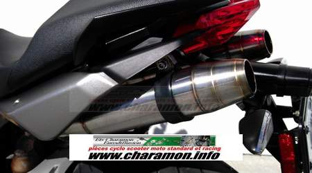 pot d'échappement GPR pour Aprilia  750 SHIVER 750 2008 à 2012 - Image 1